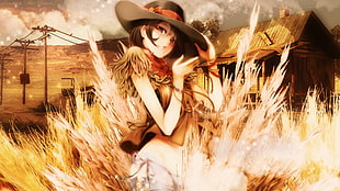 animated cowboy wallpaper, manga HD wallpaper
