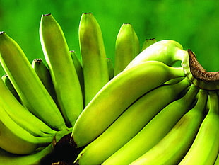 focus photography of banana fruits