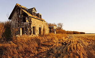 beige concrete house, old, landscape, ruin, house