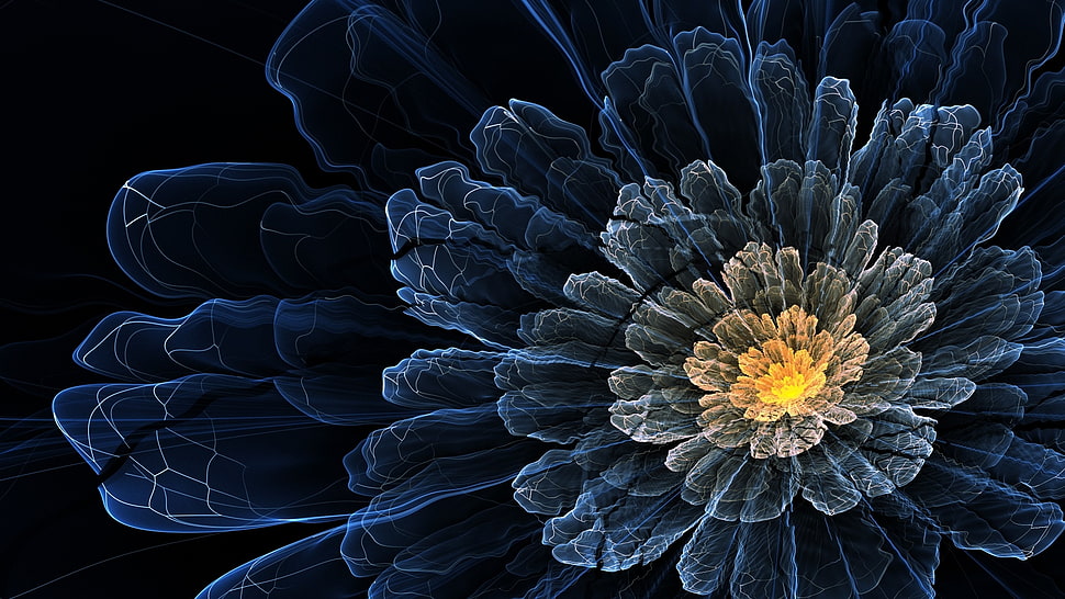3D floral wallpaper HD wallpaper