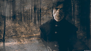 Game of Thrones Tyrion Lannister, Game of Thrones, Tyrion Lannister, Peter Dinklage, men