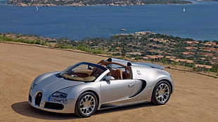 silver Bugatti Veyron, Bugatti Veyron, Bugatti, silver cars, vehicle HD wallpaper