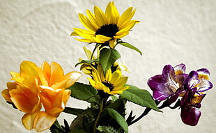 closeup photography of flowers in vase