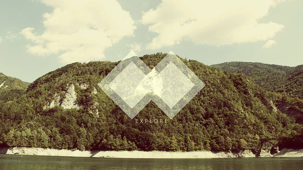 brown and gray area rug, nature, polyscape, forest, digital art HD wallpaper