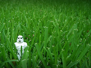 stormtrooper figure on grass HD wallpaper