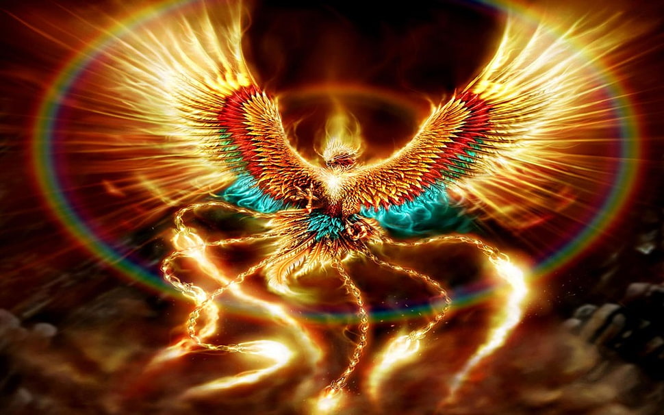 orange, blue, and red bird illustration HD wallpaper