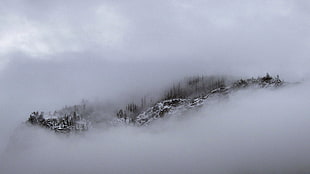 white fog, mountains, snow, Montana, mist