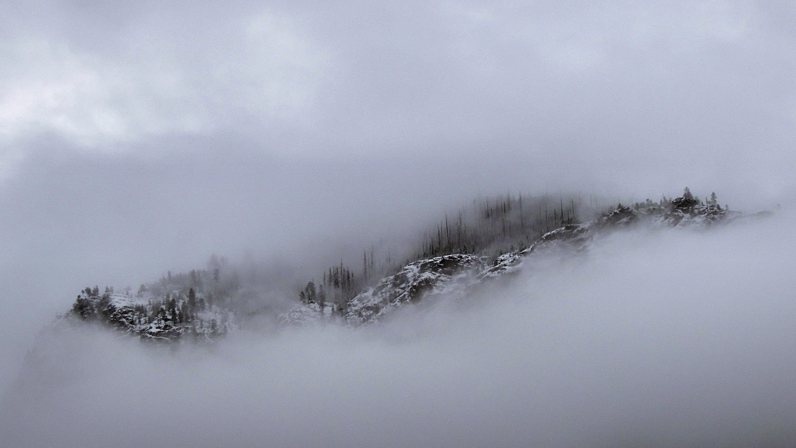 Все началось с метели. Горы в тумане. Снежная буря. Снежная буря в горах. Снежные горы в тумане.