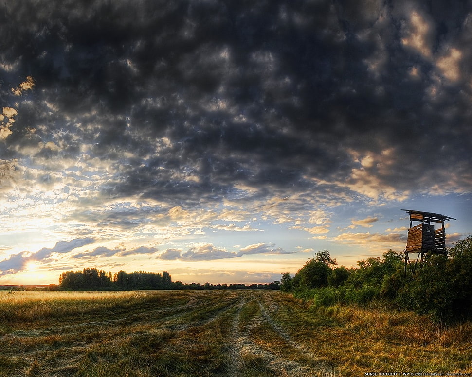 green grass field under cloudy sky HD wallpaper