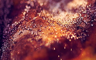 macro photography of brown textile