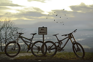 two black mountain bikes HD wallpaper