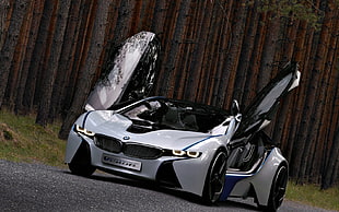 white and black racing car passing on gray road near brown wooden fence during daytime