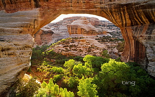 rock formation, nature, landscape, arch, desert