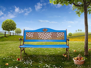 blue and brown steel outdoor bench on green grass during daytime