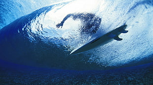 blue whale, photography, water, nature, surfing