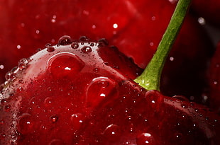 macro photography of water drops on red apple HD wallpaper