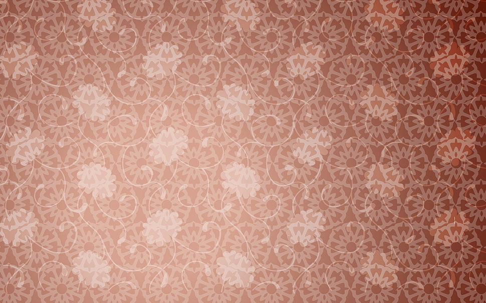 white and brown floral illustration HD wallpaper