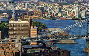 gray suspension bridge, landscape, cityscape, city
