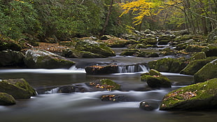 timelapse photography of river, elkmont HD wallpaper