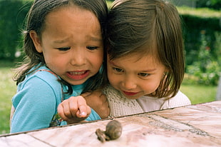 brown snail, children, photography, snail HD wallpaper