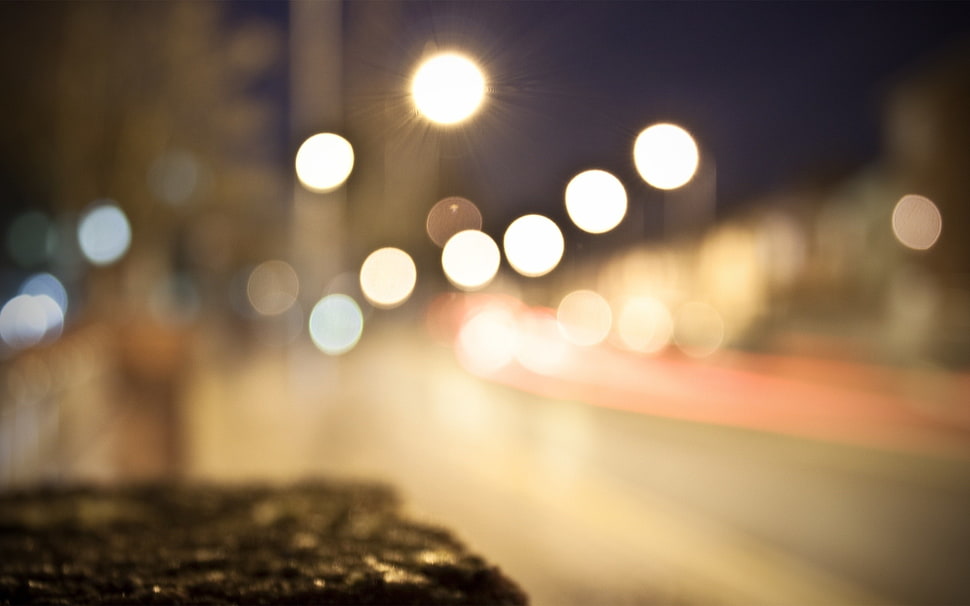 bokeh photography HD wallpaper