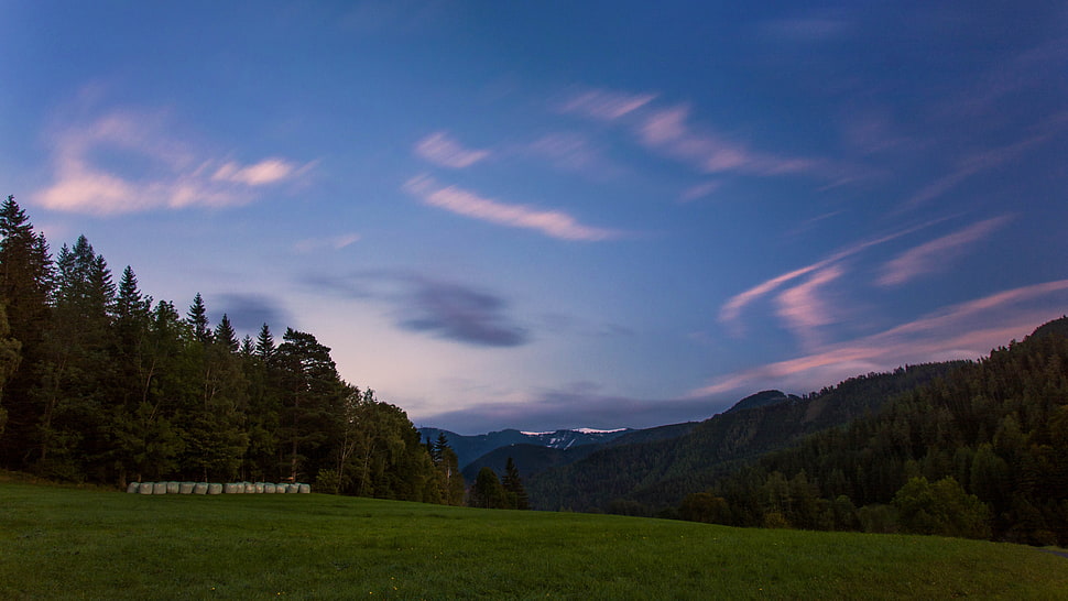 grass field, sunset, sky HD wallpaper