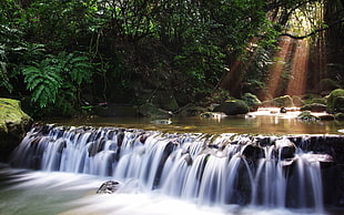 river with waterfalls surrounded by plants during daytime