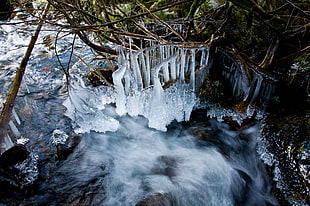 timelapse photography of waterfalls under frozen branches of tree near trees at daytime