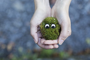 green moss with googly eyes
