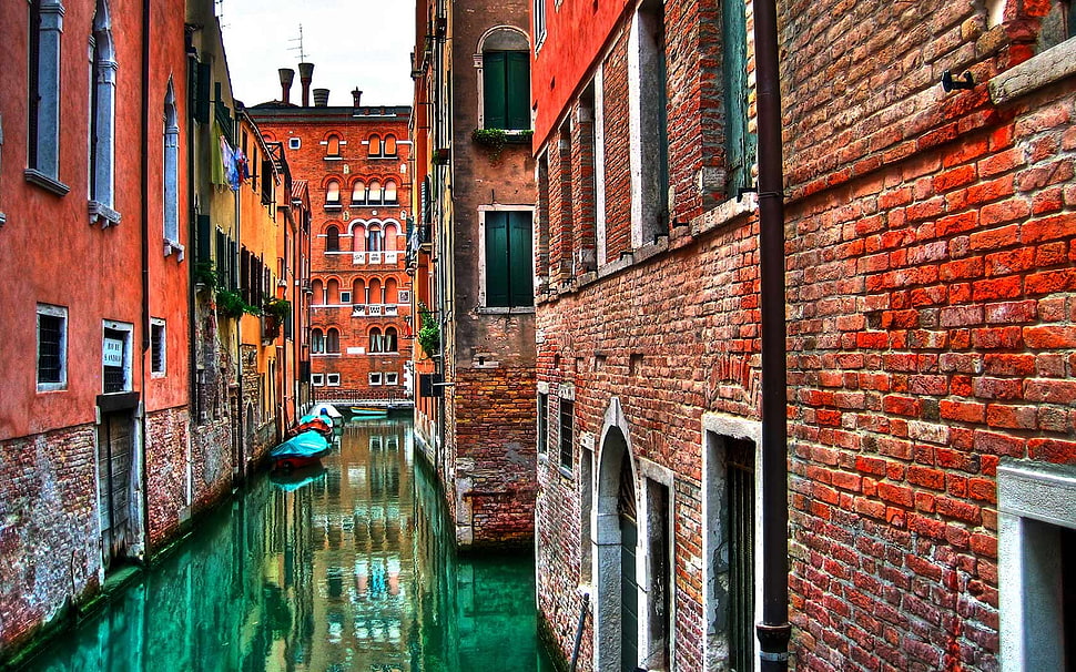 Grand Canal, Venice Italy HD wallpaper