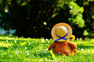 plush on wearing hat on green grass field during daytime focus photography