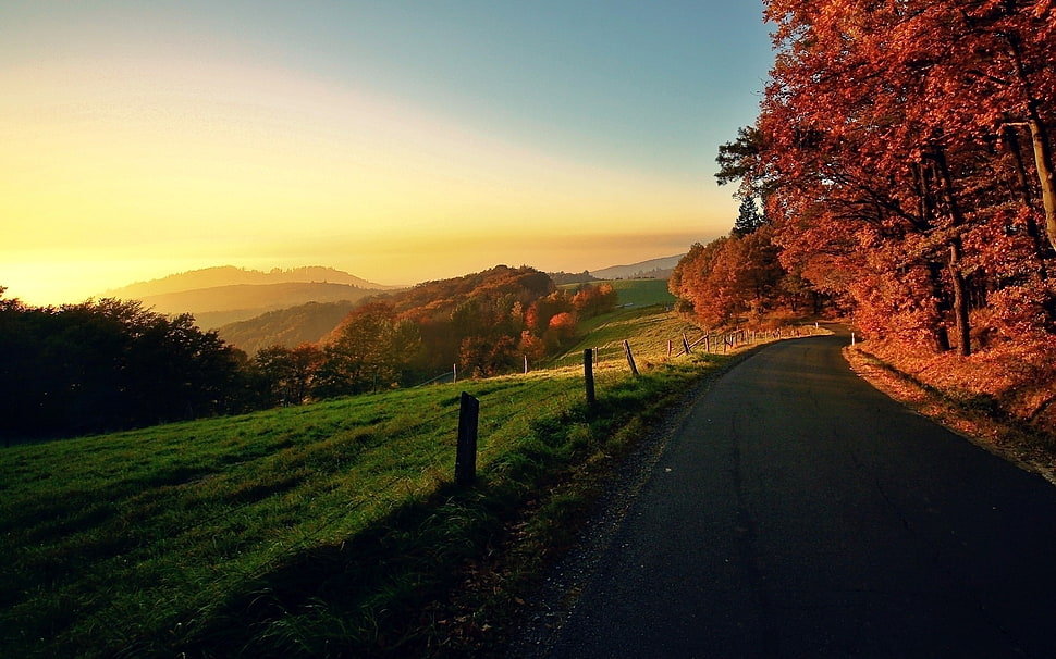 gray concrete road beside green grass during day time HD wallpaper