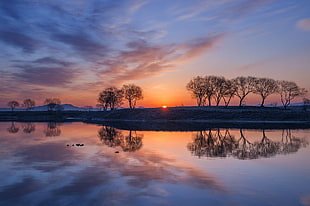body of water, with trees, sky, reflection, sunlight, nature