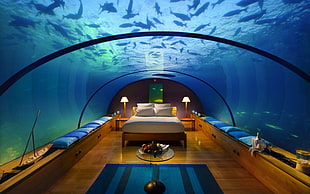 under water aquarium room HD wallpaper