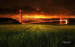 Golden Gate, California, nature HD wallpaper