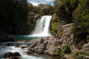 water falls, landscape, nature, waterfall HD wallpaper