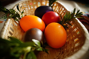 assorted colored eggs on basket HD wallpaper