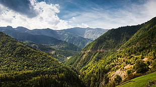 green mountains, nature, mountains, landscape, forest