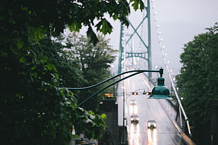 green street lamp, landscape, urban, city, bridge