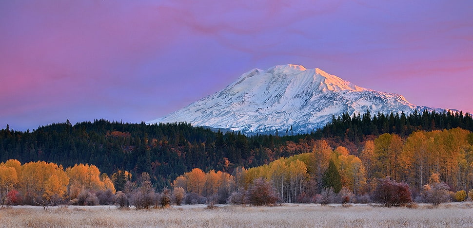 mountain covered with ice photo HD wallpaper