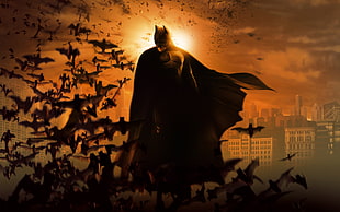 Batman wallpaper, Batman, bats, city, Batman Begins