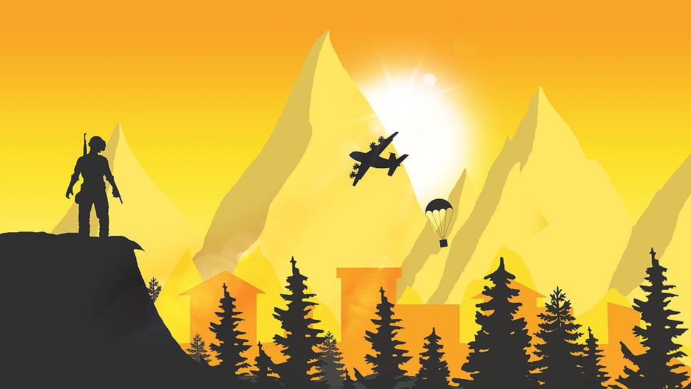 silhouette of man on cliff illustration, PUBG, video games, airdrop, airplane HD wallpaper