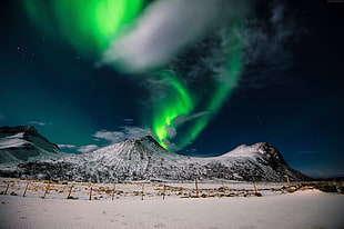northern lights, northern lights, sky, winter HD wallpaper