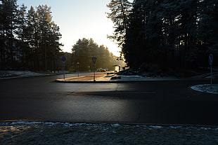 gray concrete road, winter, street, traffic, trees