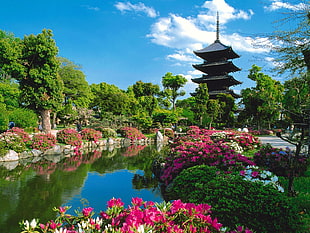 pink flowers, pond, trees, pagoda, Toji Temple