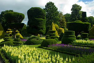 photograph of green and yellow garden under cloudy sky