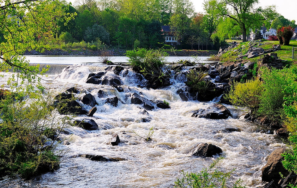 river along green grass during daytime HD wallpaper