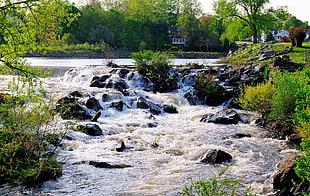 river along green grass during daytime