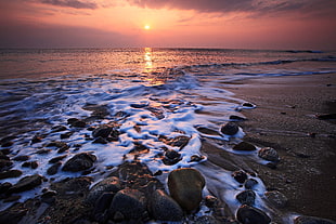 seashore during sunset photo HD wallpaper