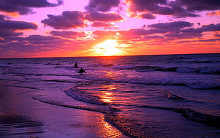 seashore, sunset, landscape, purple, orange